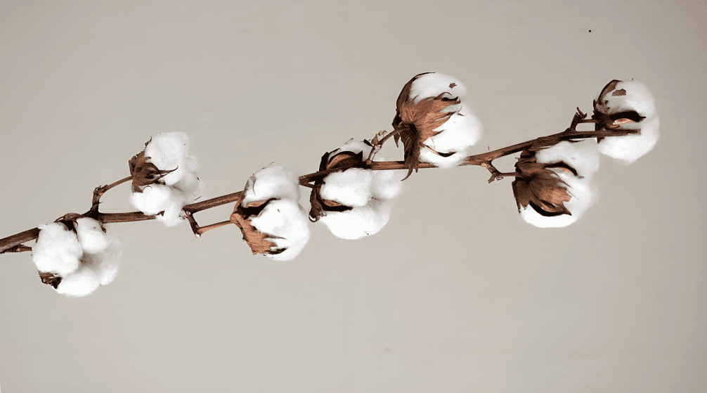 Sustainable fashion lifestyle imagery for Modimal